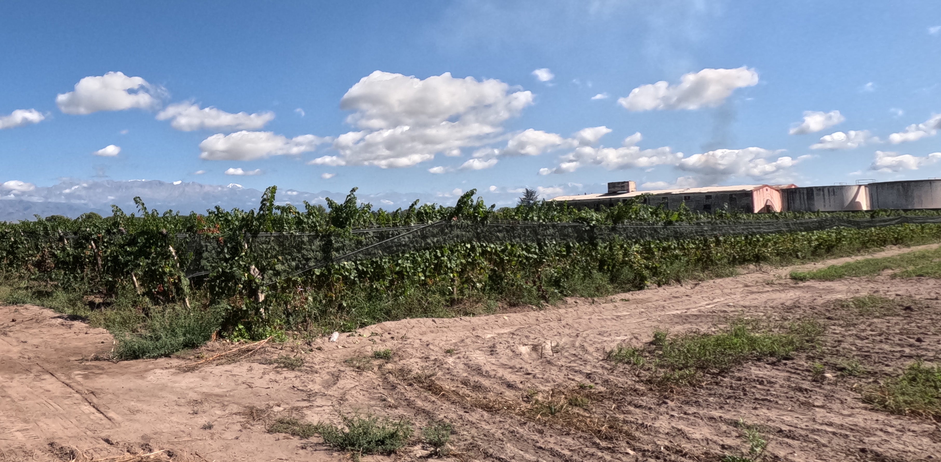 Finca La Carlota