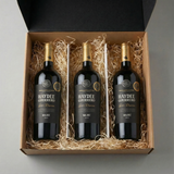 Caja x3 – 750 ml  Haydee Guerrero Gran Reserva