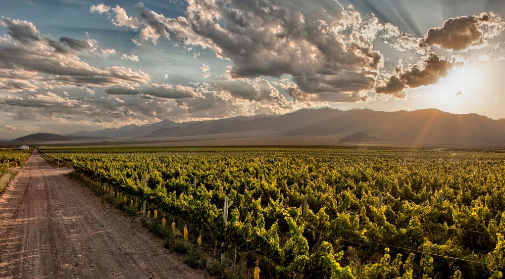 Mendoza